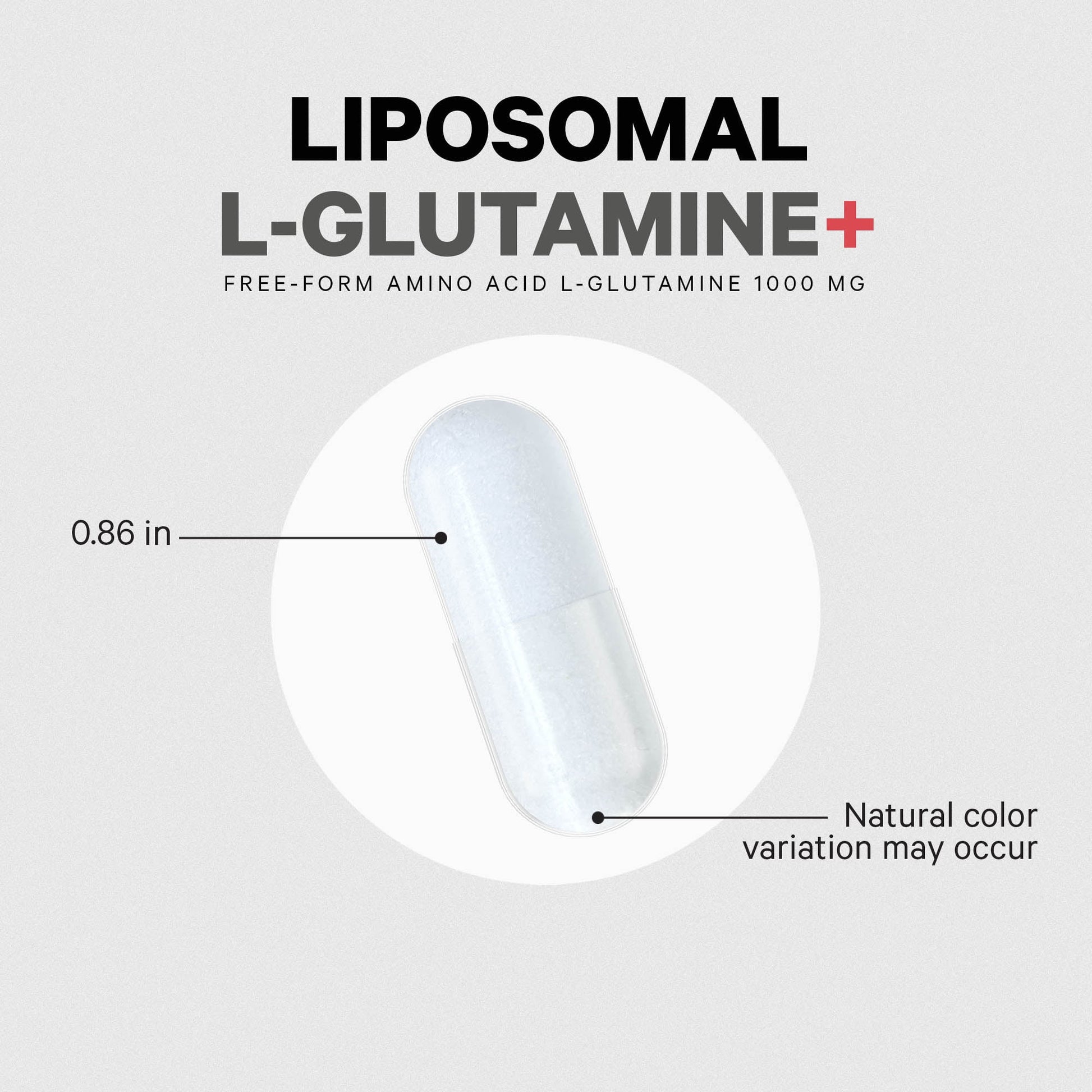 Liposomal L-Glutamine 1000Mg Supplement, Free-Form Glutamine Formula, 3-Month Supply, 180 Ct