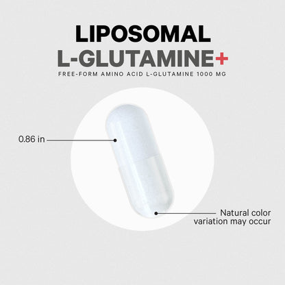 Liposomal L-Glutamine 1000Mg Supplement, Free-Form Glutamine Formula, 3-Month Supply, 180 Ct